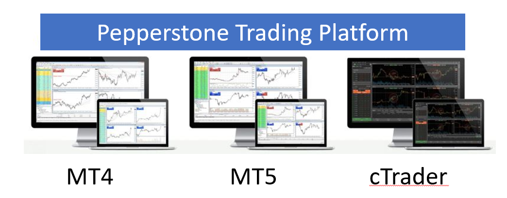 peppersttone mt4 mt5 ctrader